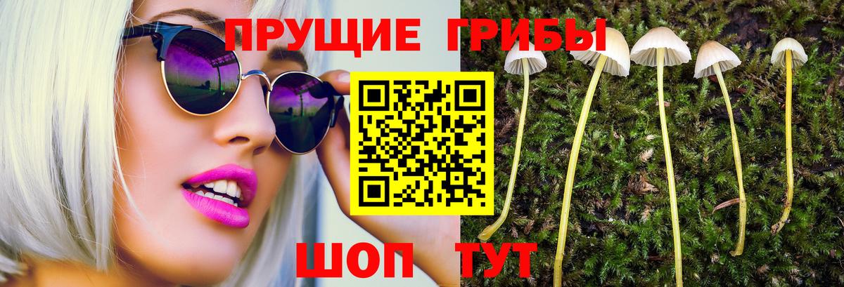 Галлюциногенные грибы Psilocybe Строитель