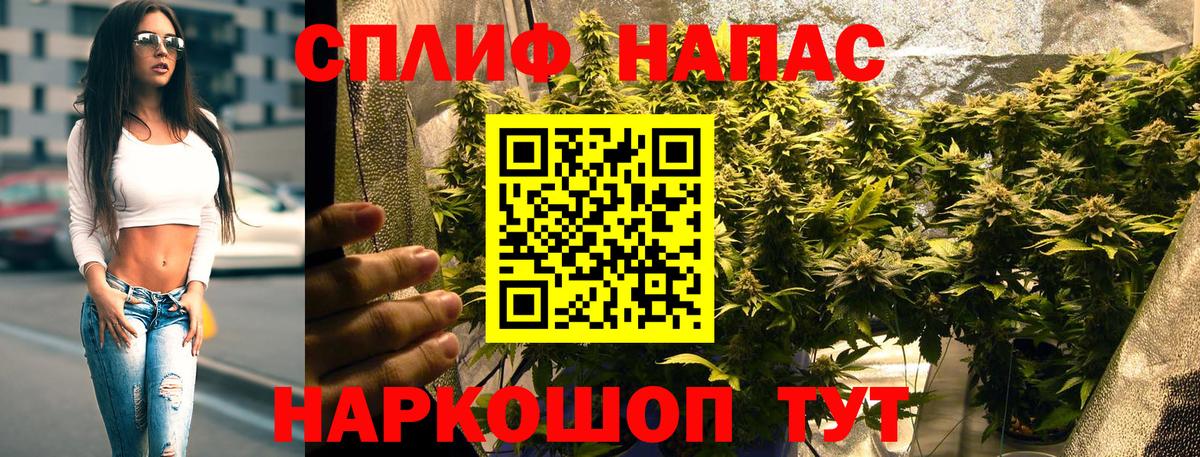 Марихуана план Строитель